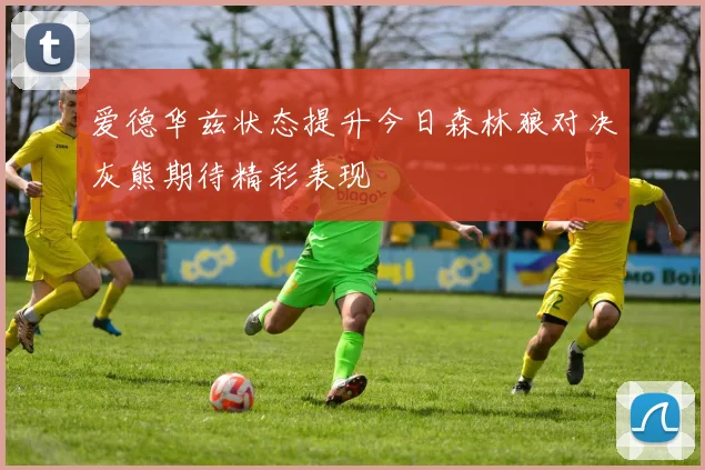 爱德华兹状态提升今日森林狼对决灰熊期待精彩表现